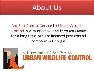 About Us
Ant Pest Control Service by Urban Wildlife
Control is very effective and keep ants away
for a long time. We are licensed pest control
company in Georgia.
 