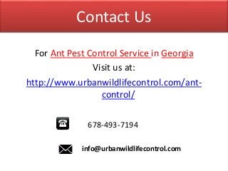 Contact Us
For Ant Pest Control Service in Georgia
Visit us at:
http://www.urbanwildlifecontrol.com/ant-
control/
678-493-7194
info@urbanwildlifecontrol.com
 
