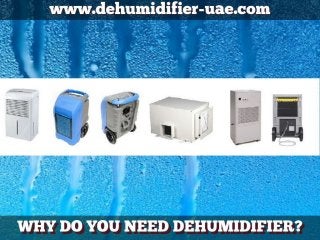 Why do you need dehumidifier  (1)