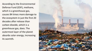 According to the Environmental
Defense Fund (EDF), methane,
which is a greenhouse gas,
causes 84 times more damage to
the ecosystem in just the first 20
decades after release than
carbon dioxide, which is a
greenhouse gas, does. The
outermost layer of the planet
absorbs solar energy, increasing
its warmth.
 