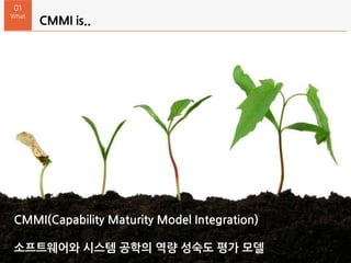 CMMI is..
01
What
CMMI(Capability Maturity Model Integration)
소프트웨어와 시스템 공학의 역량 성숙도 평가 모델
 