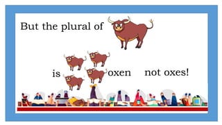 But the plural of
not oxes!
oxen
is
 