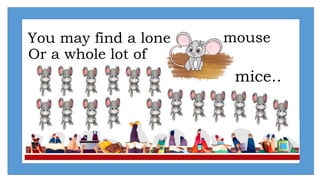 You may find a lone mouse
Or a whole lot of
mice..
 
