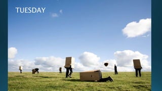 TUESDAY
 