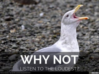 Photo by mikeyskatie - http://www.flickr.com/photos/mikeyskatie/5422122142/
 