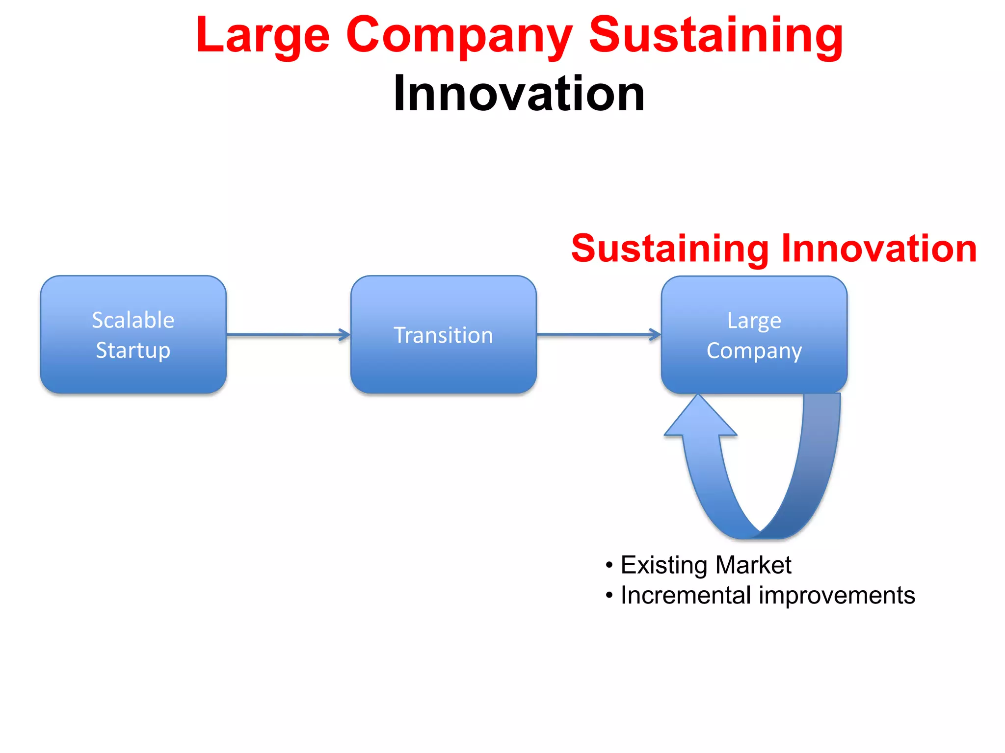 Not all businesses on the Internet are “Scalable Startups”Large Company Sustaining InnovationSustaining InnovationTransitionScalableStartupLarge Company Existing Market