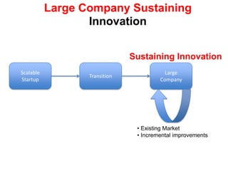 Not all businesses on the Internet are “Scalable Startups”Large Company Sustaining InnovationSustaining InnovationTransitionScalableStartupLarge Company Existing Market