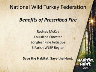 National Wild Turkey Federation
Benefits of Prescribed Fire
Rodney McKay
Louisiana Forester
Longleaf Pine Initiative
6 Parish WLEP Region
Save the Habitat. Save the Hunt.
 