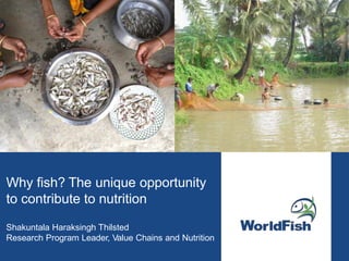 Why fish? The unique opportunity
to contribute to nutrition
Shakuntala Haraksingh Thilsted
Research Program Leader, Value Chains and Nutrition
 
