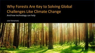 Why Forests Are Key to Solving Global
Challenges Like Climate Change
And how technology can help
Julie Yamamoto
 