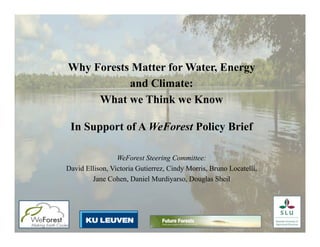 Why Forests Matter for Water, Energy
and Climate:
What we Think we Know
In Support of A WeForest Policy Brief
	
WeForest Steering Committee:
David Ellison, Victoria Gutierrez, Cindy Morris, Bruno Locatelli,
Jane Cohen, Daniel Murdiyarso, Douglas Sheil
 