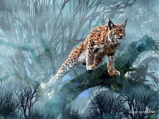 50/51
Save our planet!Save our planet!
 