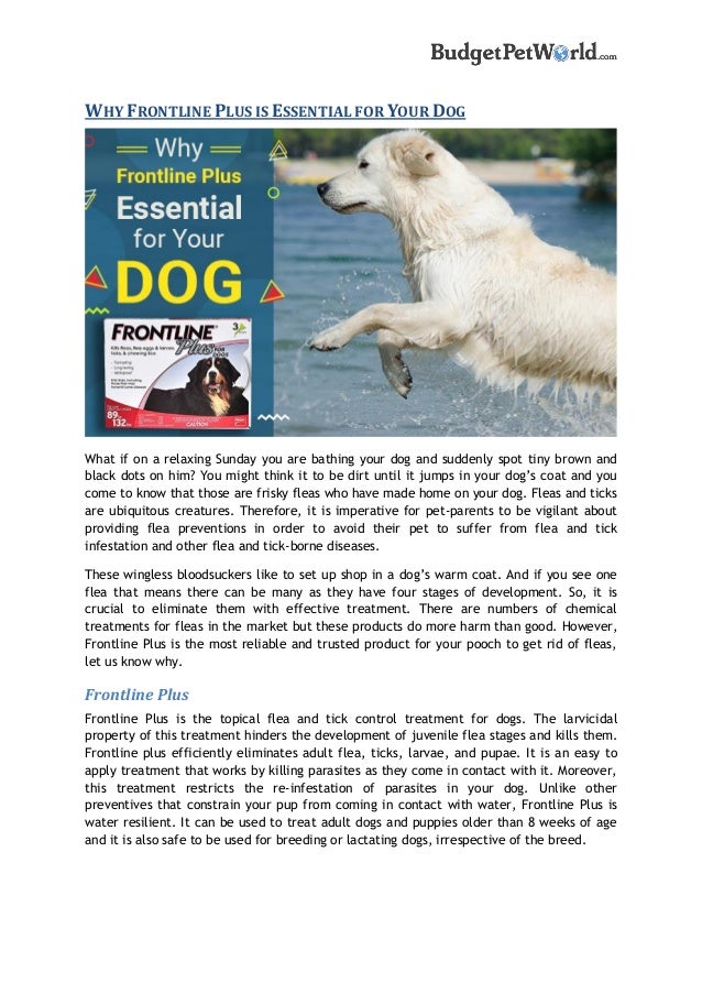 frontline plus and bathing