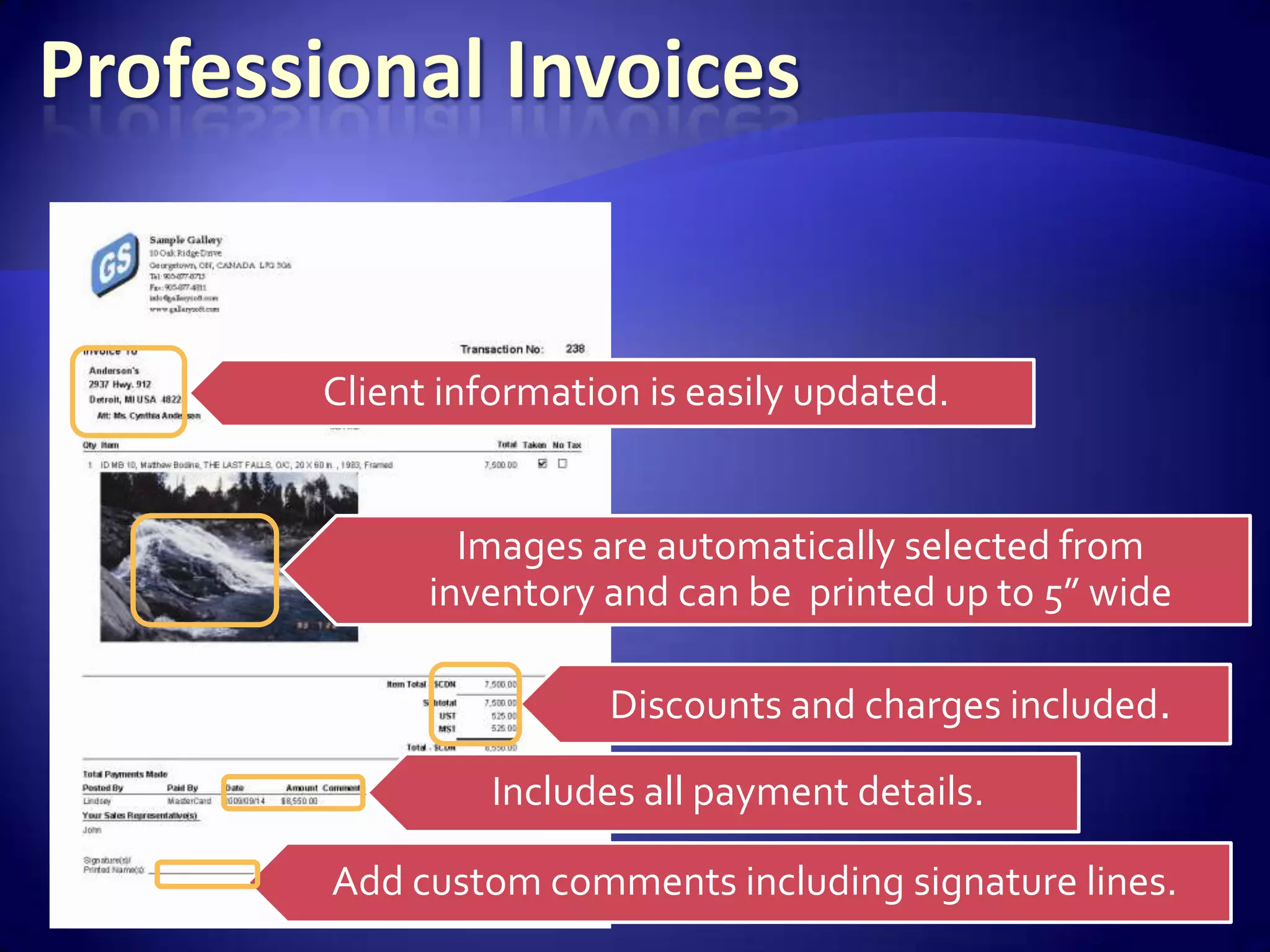 Professional Invoices