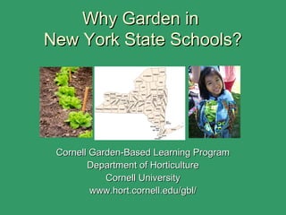 Why Garden inWhy Garden in
New York State Schools?New York State Schools?
Cornell Garden-Based Learning ProgramCornell Garden-Based Learning Program
Department of HorticultureDepartment of Horticulture
Cornell UniversityCornell University
www.hort.cornell.edu/gbl/www.hort.cornell.edu/gbl/
 