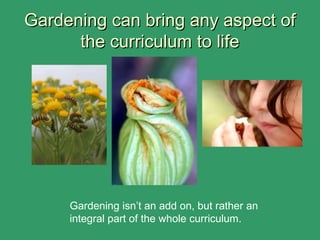 Gardening can bring any aspect ofGardening can bring any aspect of
the curriculum to lifethe curriculum to life
Gardening isn’t an add on, but rather an
integral part of the whole curriculum.
 