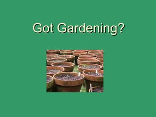 Got Gardening?Got Gardening?
 