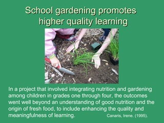 School gardening promotesSchool gardening promotes
higher quality learninghigher quality learning
In a project that involved integrating nutrition and gardening
among children in grades one through four, the outcomes
went well beyond an understanding of good nutrition and the
origin of fresh food, to include enhancing the quality and
meaningfulness of learning. Canaris, Irene. (1995).
 