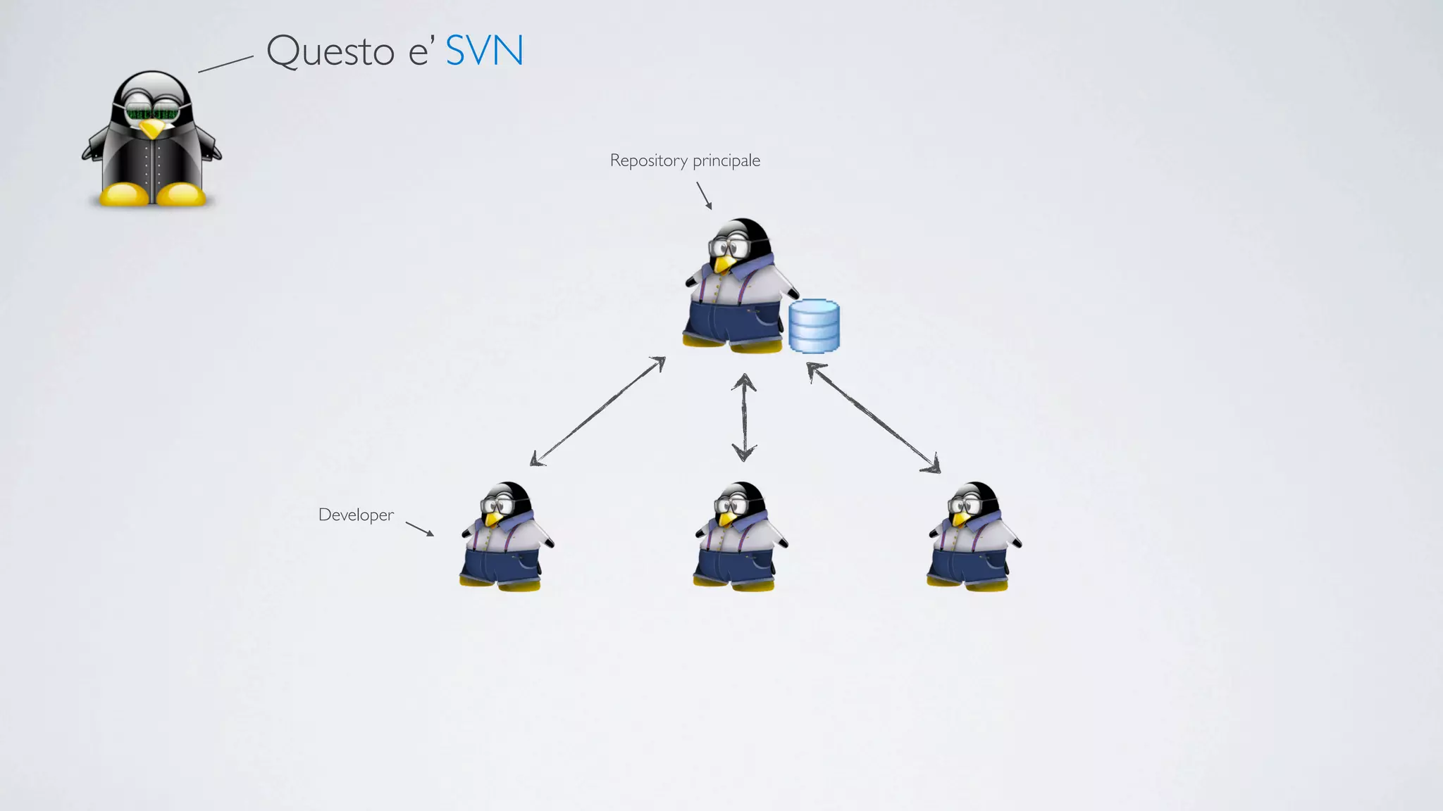 Questo e’ SVN

                Repository principale




  Developer
 