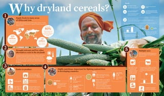 Why dryland cereals?