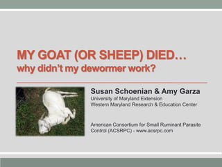 MY GOAT (OR SHEEP) DIED…
why didn’t my dewormer work?
Susan Schoenian & Amy Garza
University of Maryland Extension
Western Maryland Research & Education Center

American Consortium for Small Ruminant Parasite
Control (ACSRPC) - www.acsrpc.com

 