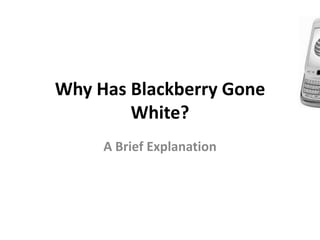 Why Has Blackberry Gone
        White?
     A Brief Explanation
 