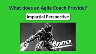 What does an Agile Coach Provide?
Systems View
 