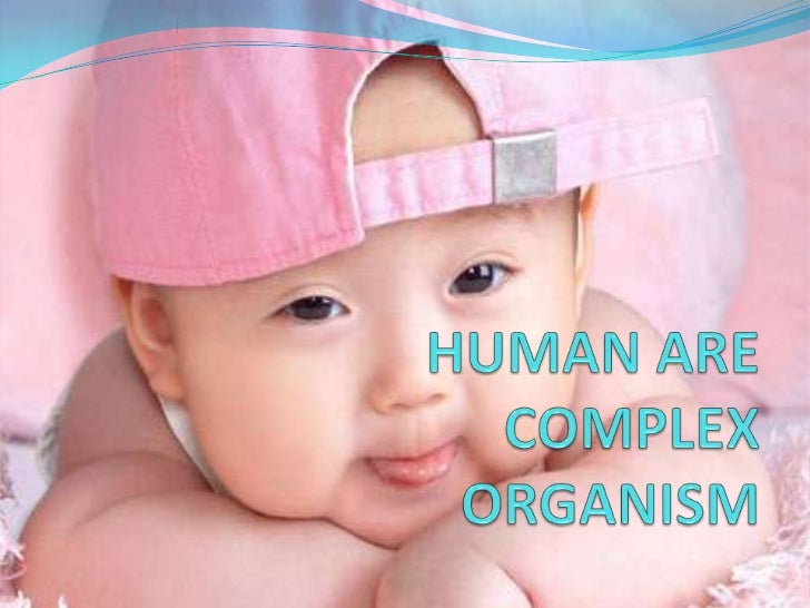 Why human are complex organism