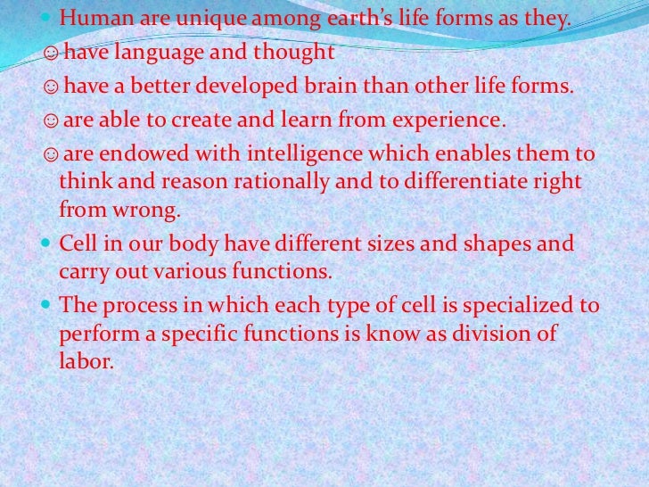 Why human are complex organism