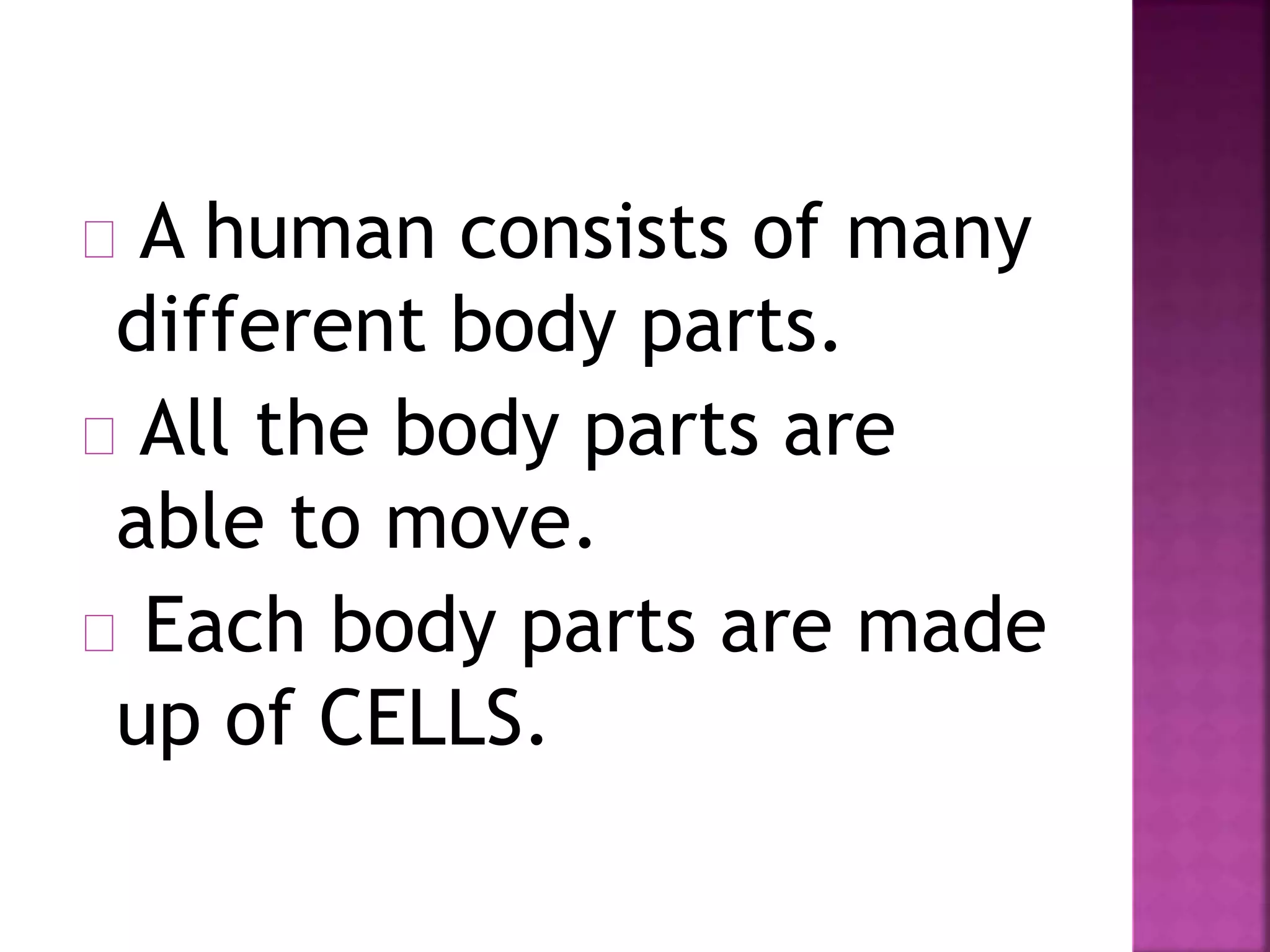 A human consists of many 
different body parts. 
All the body parts are 
able to move. 
Each body parts are made 
up of CELLS. 
 