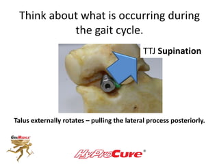 Think about what is occurring during
the gait cycle.
TTJ Supination
Talus externally rotates – pulling the lateral process posteriorly.
 