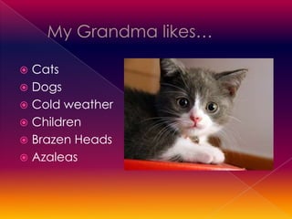  Cats
 Dogs
 Cold weather
 Children
 Brazen Heads
 Azaleas
 