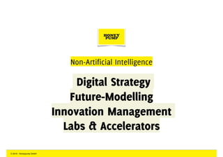 Non-Artificial Intelligence 
Digital Strategy
Future-Modelling
Innovation Management
Labs & Accelerators
© 2016 - Honeypum...