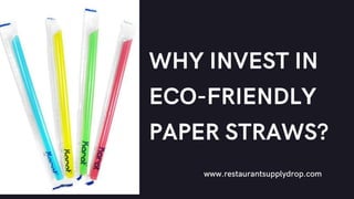 WHY INVEST IN ECO-FRIENDLY PAPER STRAWS?