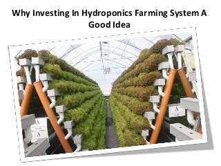 Why Investing In Hydroponics Farming System A
Good Idea
 