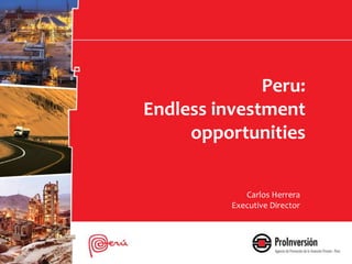 Peru: 
Endless investment 
opportunities 
Carlos Herrera 
Executive Director 
 
