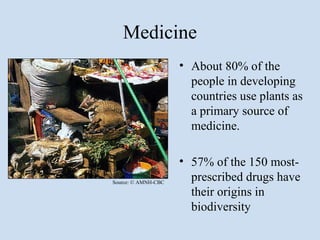 Medicine
                     • About 80% of the
                       people in developing
                       countries use plants as
                       a primary source of
                       medicine.

                     • 57% of the 150 most-
Source: © AMNH-CBC
                       prescribed drugs have
                       their origins in
                       biodiversity
 
