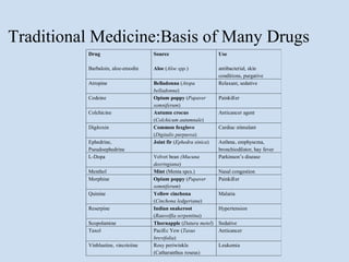 Traditional Medicine:Basis of Many Drugs
          Drug                       Source                       Use

          Barbaloin, aloe-emodin     Aloe (Aloe spp.)             antibacterial, skin
                                                                  conditions, purgative
          Atropine                   Belladonna (Atopa            Relaxant, sedative
                                     belladonna)
          Codeine                    Opium poppy (Papaver         Painkiller
                                     somniferum)
          Colchicine                 Autumn crocus                Anticancer agent
                                     (Colchicum autumnale)
          Digitoxin                  Common foxglove              Cardiac stimulant
                                     (Digitalis purpurea)
          Ephedrine,                 Joint fir (Ephedra sinica)   Asthma, emphysema,
          Pseudoephedrine                                         bronchiodilator, hay fever
          L-Dopa                     Velvet bean (Mucuna          Parkinson’s disease
                                     deeringiana)
          Menthol                    Mint (Menta spcs.)           Nasal congestion
          Morphine                   Opium poppy (Papaver         Painkiller
                                     somniferum)
          Quinine                    Yellow cinchona              Malaria
                                     (Cinchona ledgeriana)
          Reserpine                  Indian snakeroot             Hypertension
                                     (Rauvolfia serpentina)
          Scopolamine                Thornapple (Datura metel)    Sedative
          Taxol                      Pacific Yew (Taxus           Anticancer
                                     brevifolia)
          Vinblastine, vincristine   Rosy periwinkle              Leukemia
                                     (Catharanthus roseus)
 