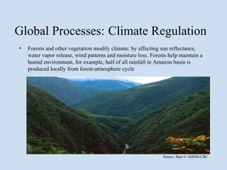 Global Processes: Climate Regulation
•   Forests and other vegetation modify climate: by affecting sun reflectance,
    water vapor release, wind patterns and moisture loss. Forests help maintain a
    humid environment, for example, half of all rainfall in Amazon basin is
    produced locally from forest-atmosphere cycle




                                                               Source: Bain © AMNH-CBC
 