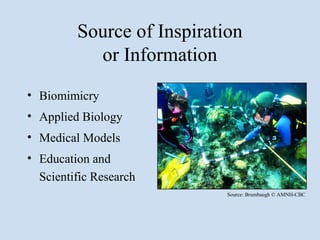 Source of Inspiration
           or Information
• Biomimicry
• Applied Biology
• Medical Models
• Education and
  Scientific Research
                            Source: Brumbaugh © AMNH-CBC
 