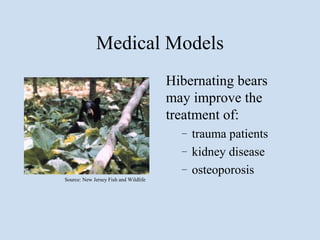 Medical Models
                                       Hibernating bears
                                       may improve the
                                       treatment of:
                                         –   trauma patients
                                         –   kidney disease
                                         –   osteoporosis
Source: New Jersey Fish and Wildlife
 