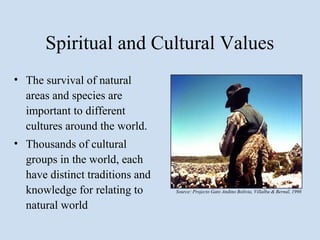 Spiritual and Cultural Values
• The survival of natural
  areas and species are
  important to different
  cultures around the world.
• Thousands of cultural
  groups in the world, each
  have distinct traditions and
  knowledge for relating to      Source: Projecto Gato Andino Bolivia, Villalba & Bernal, 1998


  natural world
 