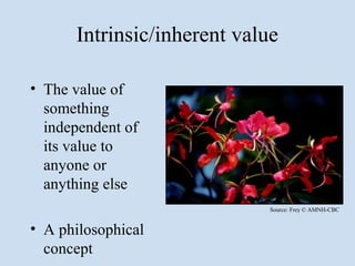 Intrinsic/inherent value

• The value of
  something
  independent of
  its value to
  anyone or
  anything else
                             Source: Frey © AMNH-CBC


• A philosophical
  concept
 