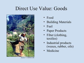 Direct Use Value: Goods
                       • Food
                       • Building Materials
                       • Fuel
                       • Paper Products
                       • Fiber (clothing,
                         textiles)
                       • Industrial products
                         (waxes, rubber, oils)
                       • Medicine

  Source: © AMNH-CBC
 