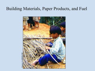 Building Materials, Paper Products, and Fuel

        Source: © AMNH-CBC
 