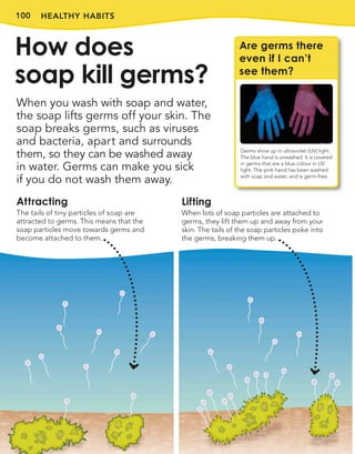 100 HEALTHY HABITS
When you wash with soap and water,
the soap lifts germs off your skin. The
soap breaks germs, such as viruses
and bacteria, apart and surrounds
them, so they can be washed away
in water. Germs can make you sick
if you do not wash them away.
How does
soap kill germs?
Are germs there
even if I can’t
see them?
Germs show up in ultraviolet (UV) light.
The blue hand is unwashed. It is covered
in germs that are a blue colour in UV
light. The pink hand has been washed
with soap and water, and is germ-free.
Attracting
The tails of tiny particles of soap are
attracted to germs. This means that the
soap particles move towards germs and
become attached to them.
Lifting
When lots of soap particles are attached to
germs, they lift them up and away from your
skin. The tails of the soap particles poke into
the germs, breaking them up.
 
