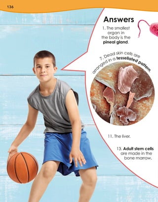 136
Answers
1. The smallest
organ in
the body is the
pineal gland.
11. The liver.
13. Adult stem cells
are made in the
bone marrow.
a
r
r
a
nged in a tessellated patte
r
n
.
7. Dead skin cells are
 