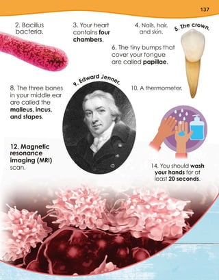 137
10. A thermometer.
14. You should wash
your hands for at
least 20 seconds.
2. Bacillus
bacteria.
3. Your heart
contains four
chambers.
4. Nails, hair,
and skin.
6. The tiny bumps that
cover your tongue
are called papillae.
12. Magnetic
resonance
imaging (MRI)
scan.
8. The three bones
in your middle ear
are called the
malleus, incus,
and stapes.
9. Edward Jenner.
5. The crown.
 