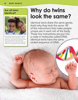 18 BODY BASICS
Identical twins share the same genes,
that’s why they look the same. All
of the instructions that make people
unique are in each cell of the body.
These tiny instructions are put into
a code in molecules called DNA.
Identical twins have the same
coded sequence of DNA.
Why do twins
look the same?
Are all twins
identical?
Non-identical twins have different genes
to each other. Each child gets a copy of
genes from each parent, but these copies
are not the same for each twin. Non-
identical twins have some similarities and
differences, like any other set of siblings.
 
