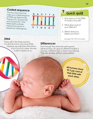 19
Quick quiz
?
1. How does so much DNA
fit inside a tiny cell?
2. What does most of
your DNA do?
3. Where does your
DNA come from?
See pages 132–133 for the answers
All humans share
99.9 per cent of
their DNA with
each other.
DNA
Every cell in the body contains
2 m (6.6 ft) of thin, wound-up DNA.
However, we only know what about
4 cm (1.6 in) of it does, the rest
is still a mystery to us.
Differences
Even though they share the same genes,
identical twins can grow to different heights if
one has a different diet or does more exercise.
They also develop different personalities.
Coded sequence
The four chemicals that
make up a coded sequence
of DNA are Adenine (A),
Thymine (T), Guanine (G),
and Cytosine (C). Their
letters spell out body-
making instructions in
sequences called genes.
C T T
G A A
G A A
C T T
 